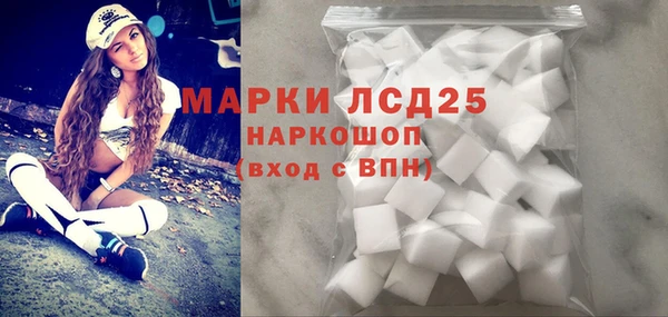 прущие грибы Красноперекопск